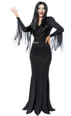 Morticia Womens Costume -Dress and Wig!